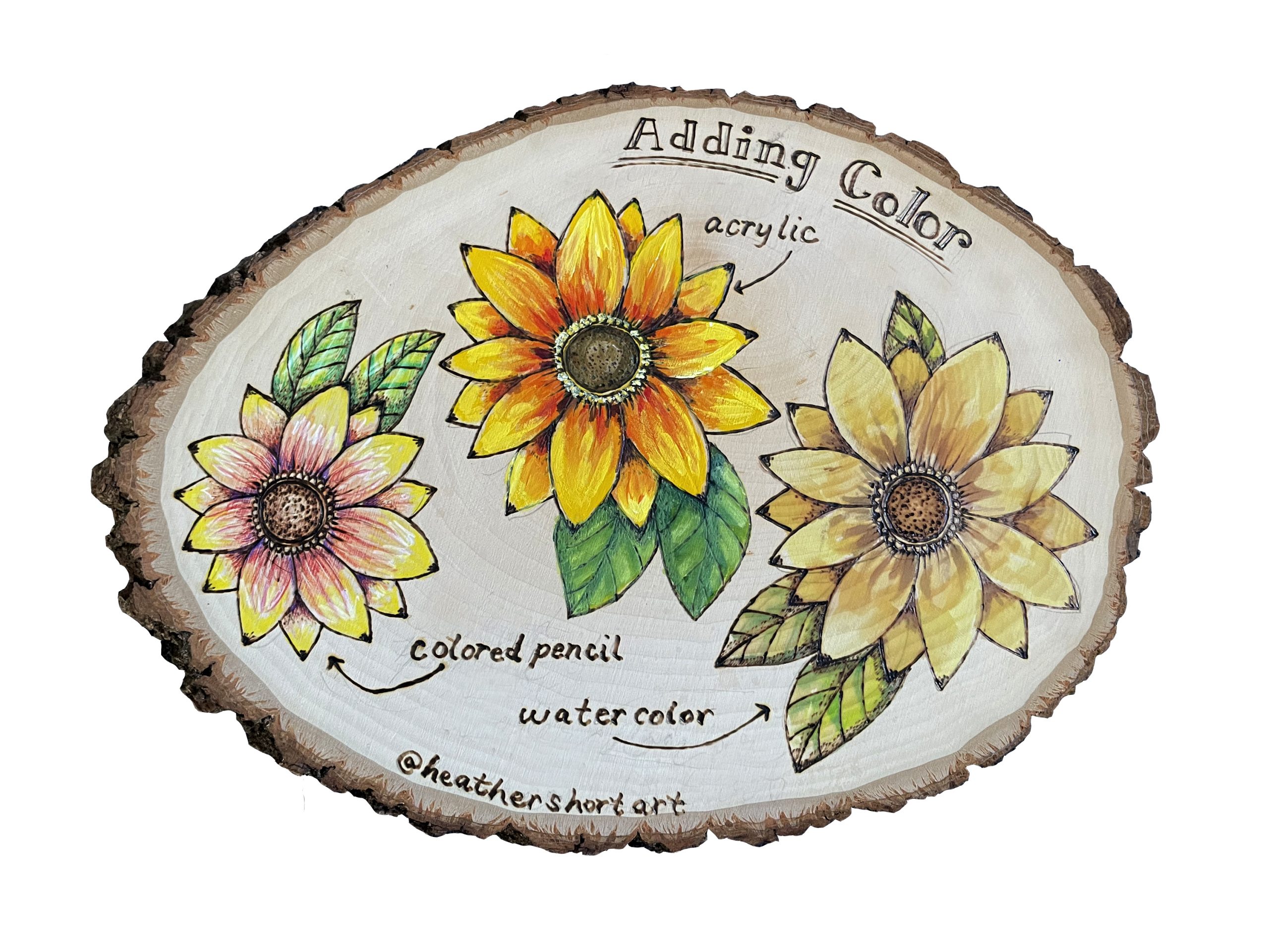 Adding Color to Your Pyrography Projects